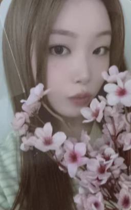 ny7.0炫 线上樱花ver.