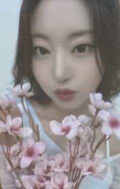 ny7.0妍 线上樱花ver.