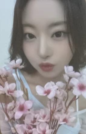 ny7.0妍 线上樱花ver.