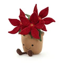Amuseable Poinsettia