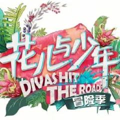 花儿与少年