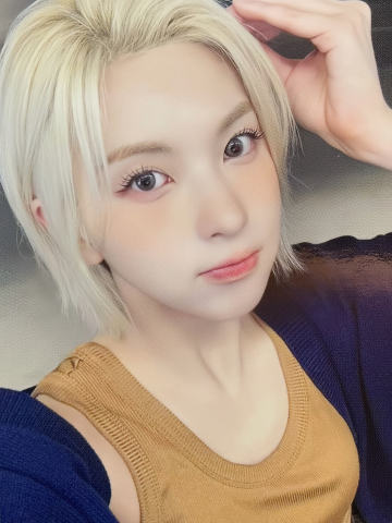 ms12.0 5 线下狗耳ver.