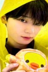 hl预售 演