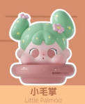 小毛掌