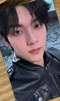oy预售2 ver.B