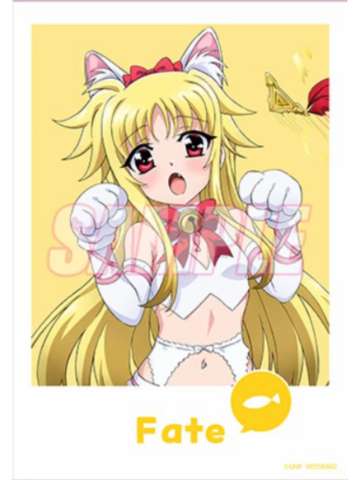 菲特·泰斯特罗莎·哈拉温-10连赠品相卡