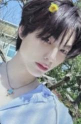 compact版专卡5 ver.B
