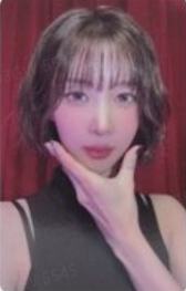 电子专专卡狗 ver.A