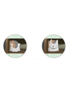 猫咪老师1-南漫社光栅徽章