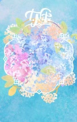 冠军纪念写真团款 隐藏拍立得