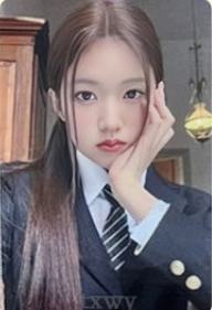 sw预售 囧