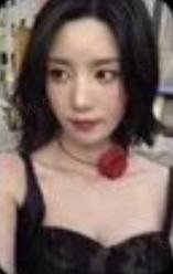 专卡 ver.B