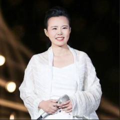 龚琳娜