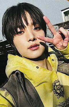 d社b版固配4 ver.D