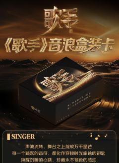 歌手音浪盒装卡