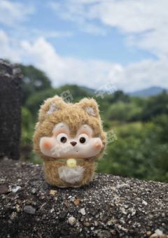 一代毛绒-资料图