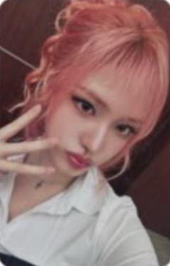 初回限定E盘专卡 栗