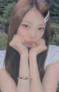 biz预售1