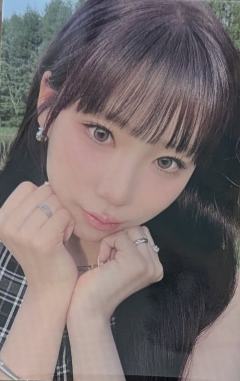 biz预售2