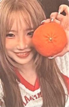 快闪小卡set1 ver.A