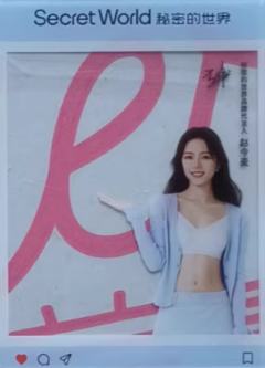 秘密的世界代言透卡 verC