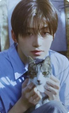 限定A盘专卡5 ver.B