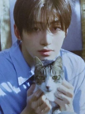 限定A盘专卡5 ver.B