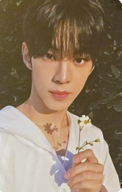 限定B盘专卡2 ver.A