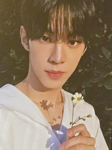 限定B盘专卡2 ver.A