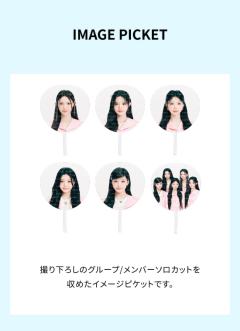 日周扇子