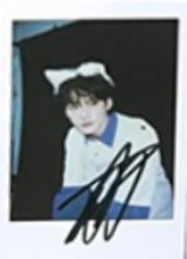 pusspuss拍立得 ver.2