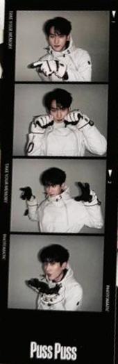 pusspuss四宫格