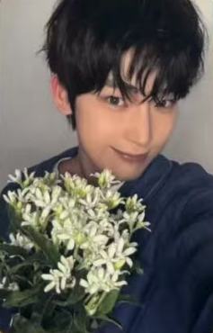 wvs日咖单封5