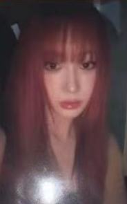 华纳预售 梨 ver.A