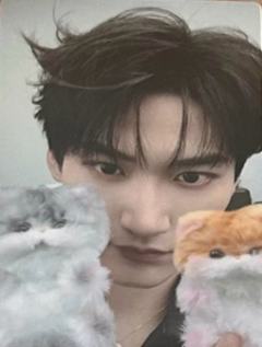 24超订冬日特典卡