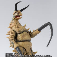 SHF 古敦-资料图