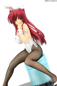 向坂环 Bunny ver.-资料图