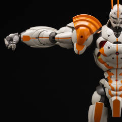 王舞 Full Body ver.-资料图
