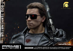 T-800 DX version-资料图