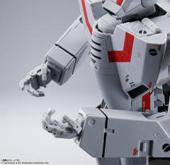 VF-1J 女武神（一条辉专用机）-资料图