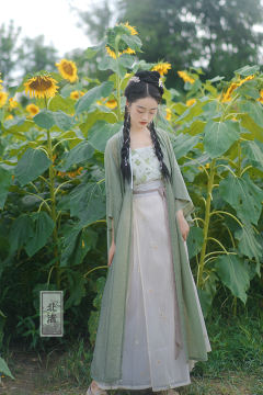 麦穗雏菊与山茶-资料图