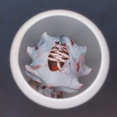 ETTA X 黑桃工作室 小黑桃-资料图