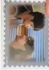 SSR【仲夏来信】