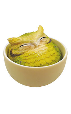 青岚茶鹰