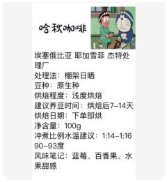 埃塞俄比亚 耶加雪菲 杰特处理厂