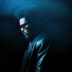 盆栽 The Weeknd  作品合集