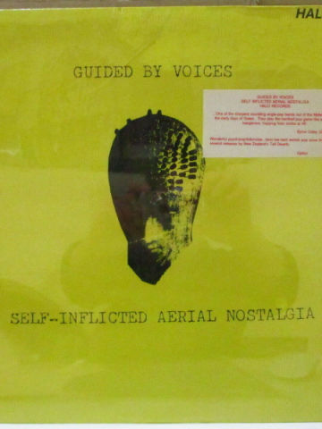 Self-Inflicted Aerial Nostalgia