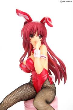 向坂环 Bunny ver.-资料图