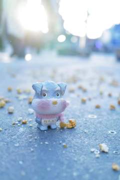 雪纳瑞-资料图