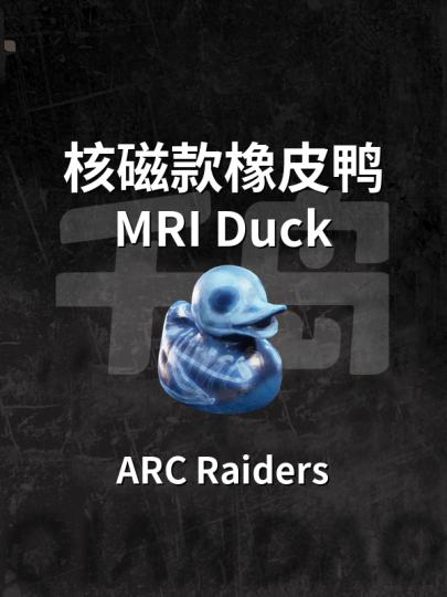 ARC Raiders 弧光猎人-1